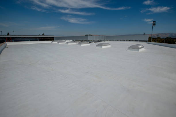 Best Roof Moss and Algae Removal  in Pacheco, CA